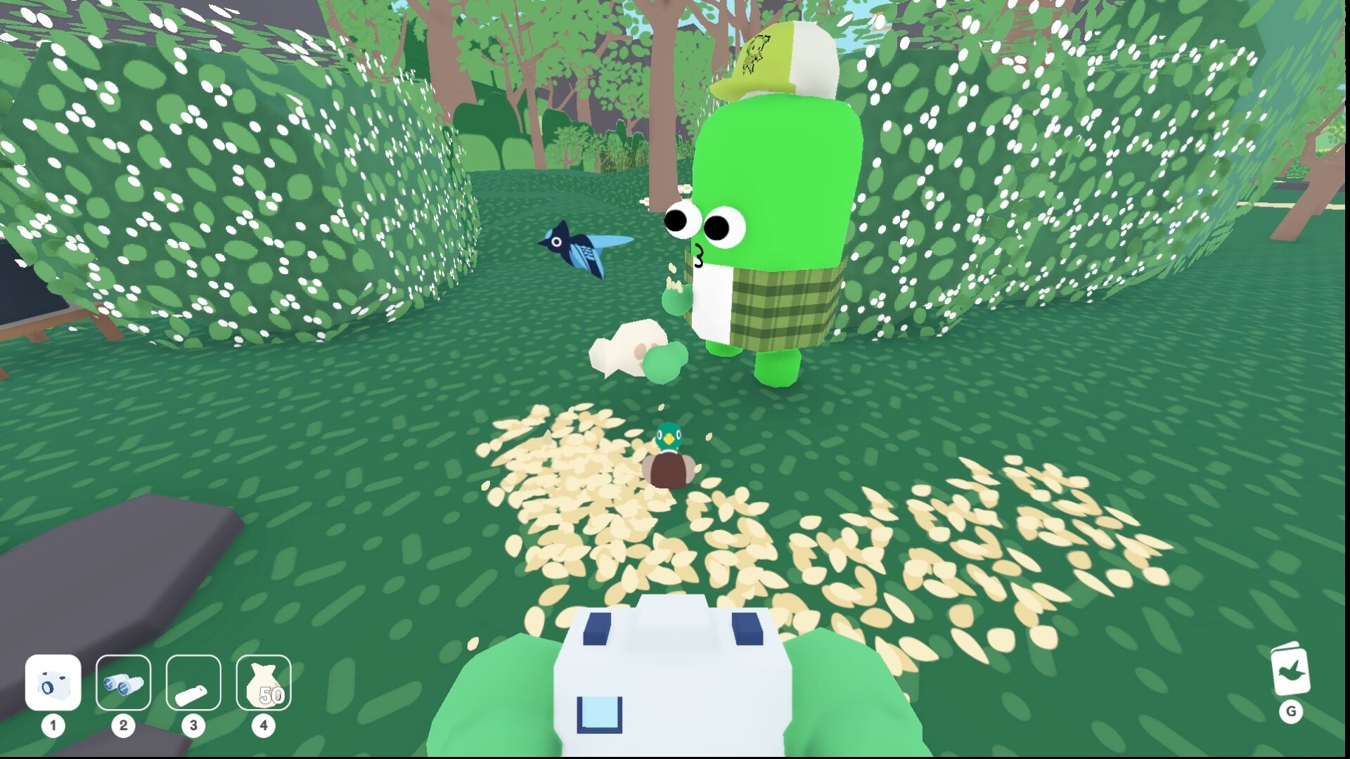 Flock Around